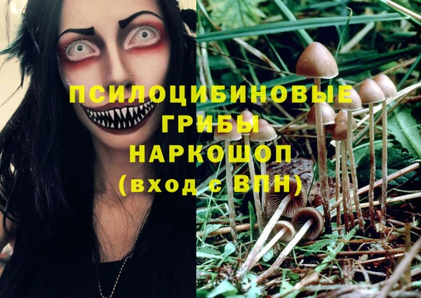 марки nbome Арсеньев