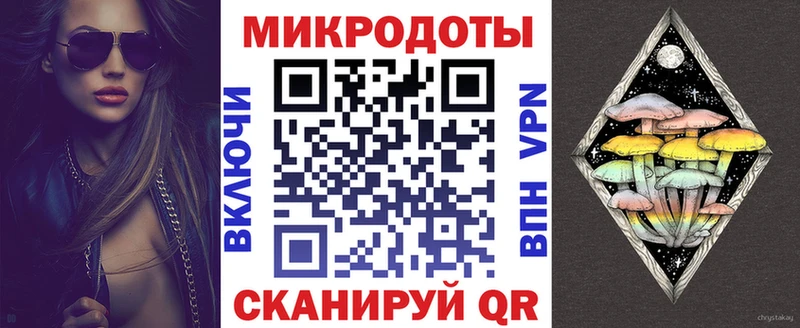 купить Нея Галлюциногенные грибы Psilocybe